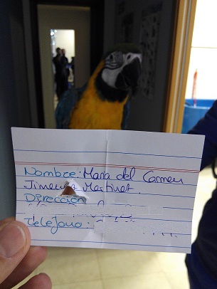 Clinete de la clinica veterinaria alicante